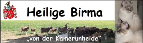 Banner_Kamerunheide