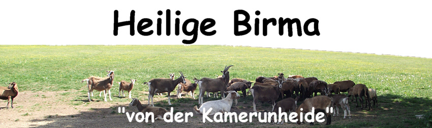 Zur Startseite wechseln